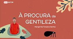procura gentileza