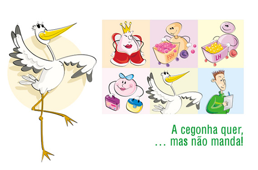 cegonha quer b
